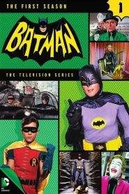 Batman: Stagione 1