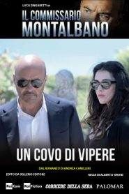 Il Commissario Montalbano: Stagione 11
