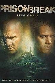 Prison Break: Stagione 5