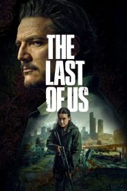 The Last of Us 2 stagione
