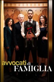 Avvocati di famiglia 4 stagione