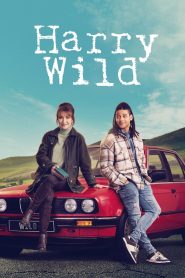 Harry Wild – La signora del delitto 3 stagione