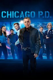 Chicago P.D. 13 stagione