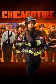 Chicago Fire 14 stagione